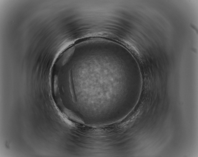 X0000091710792200708311115