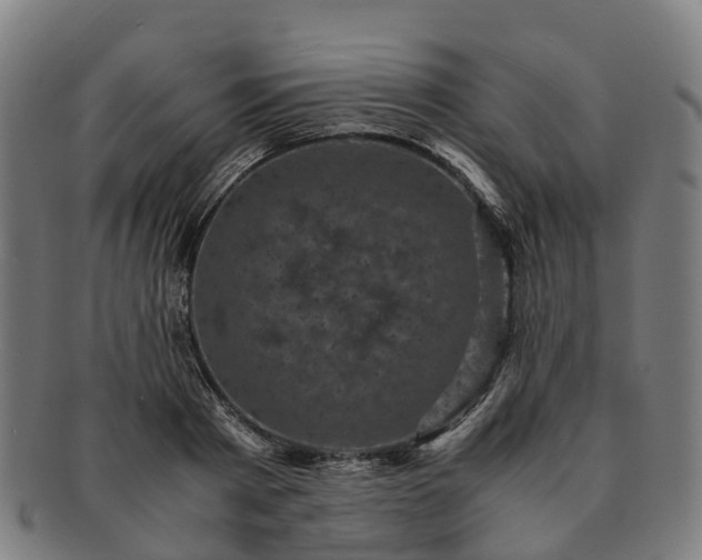 X0000091710793200708311115