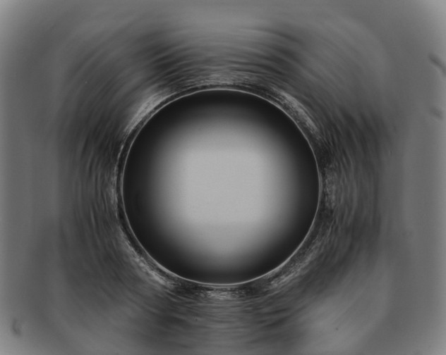 X0000091710794200708311115