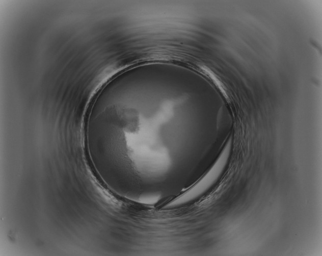 X0000091710795200708311115