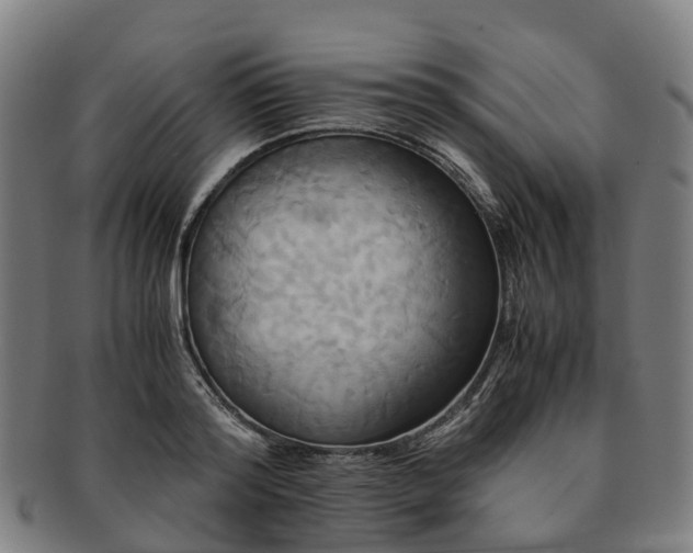 X0000091710796200708311115