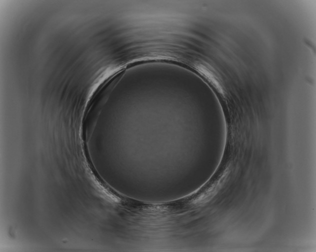 X0000091710797200708311115