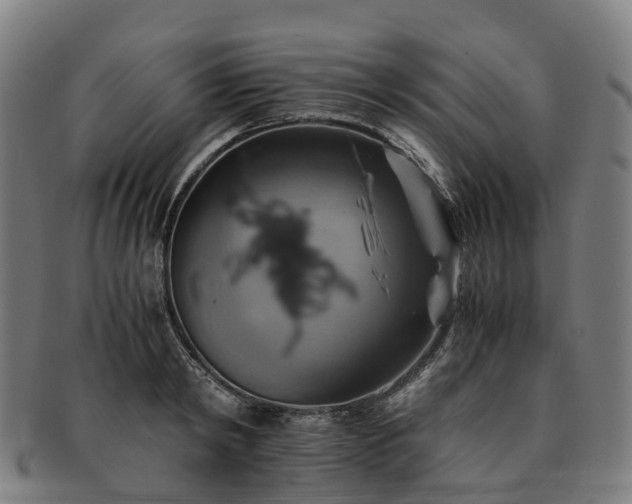 X0000091710798200708311115