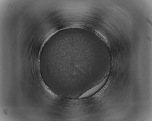 X0000091710800200708311115