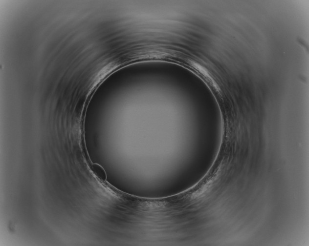 X0000091710802200708311115