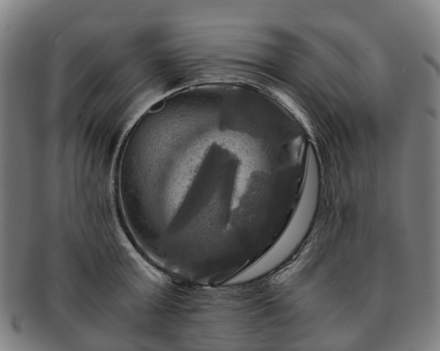 X0000091710803200708311115