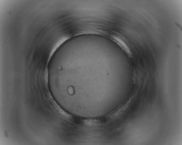 X0000091710804200708311115