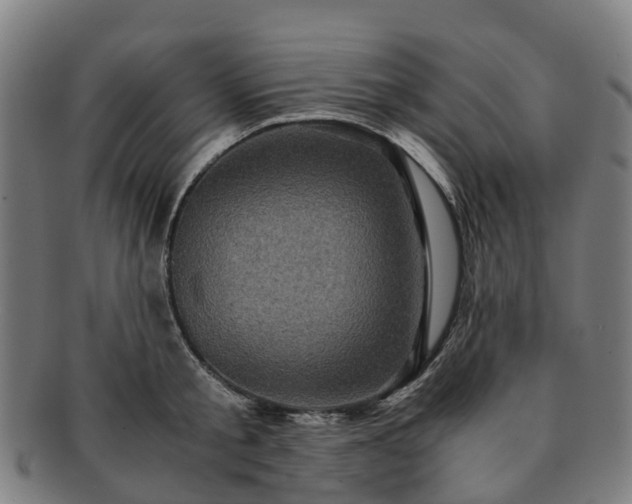 X0000091710805200708311115