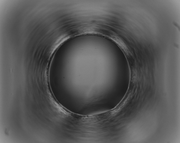 X0000091710806200708311115