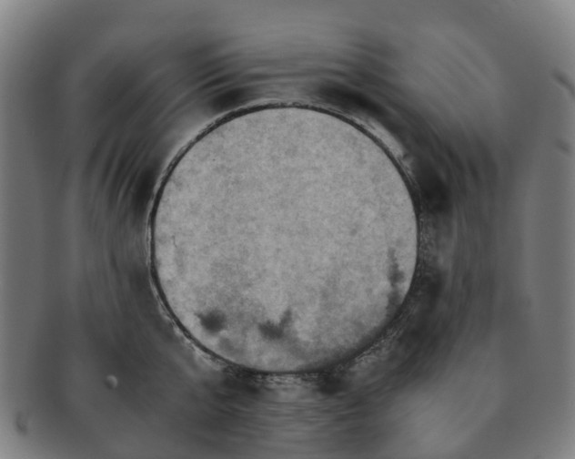 X0000091710807200708311115