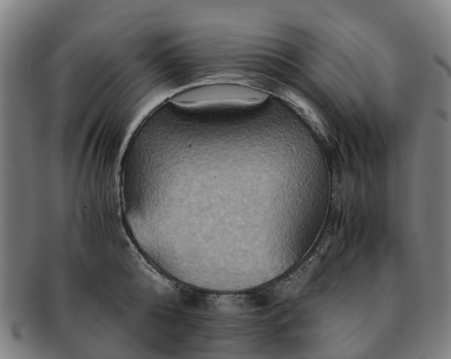 X0000091710808200708311115