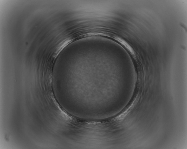 X0000091710809200708311115