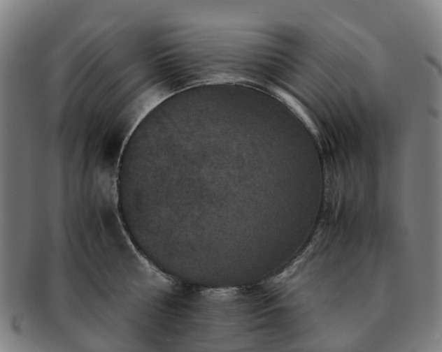 X0000091710810200708311115