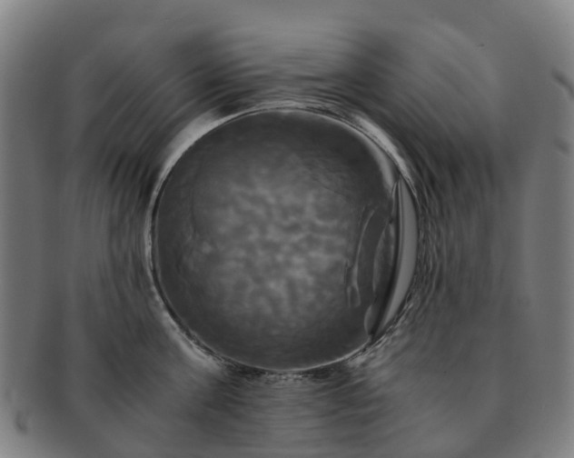 X0000091710811200708311115