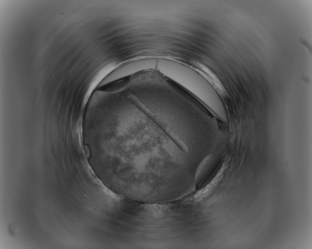 X0000091710812200708311115