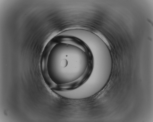 X0000091710813200708311115