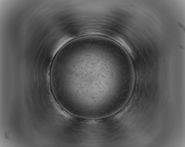 X0000091710814200708311115