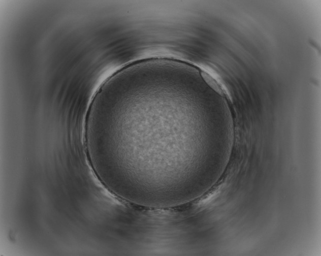 X0000091710815200708311114