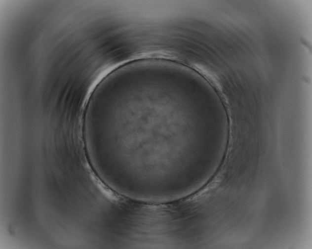 X0000091710816200708311114