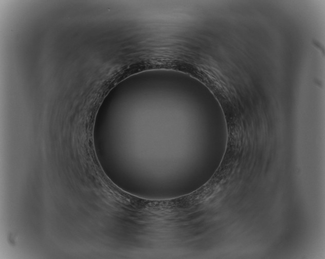 X0000091710817200708311114