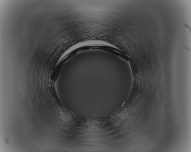 X0000091710818200708311114