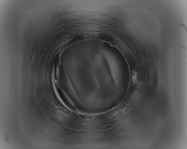 X0000091710819200708311114