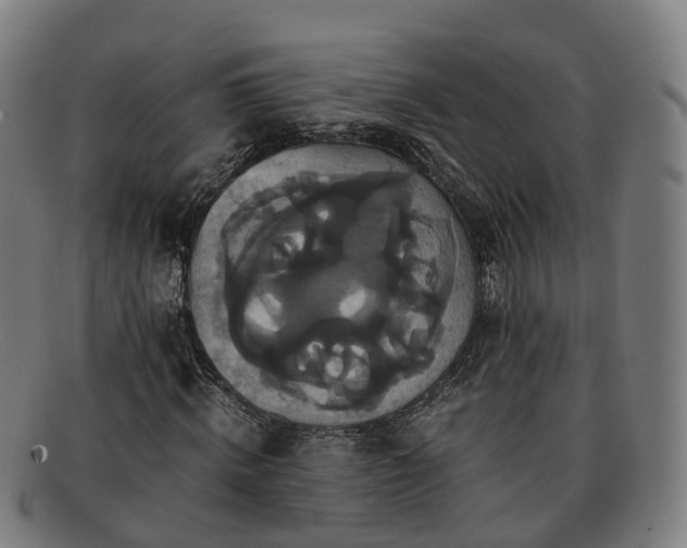 X0000091710820200708311114