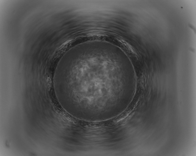 X0000091710821200708311114