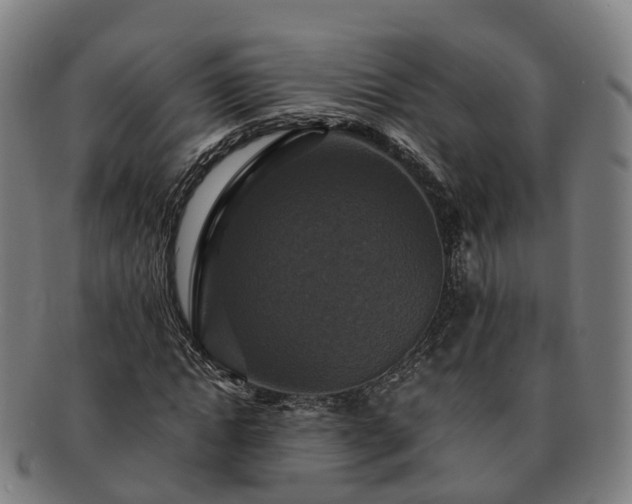 X0000091710822200708311114