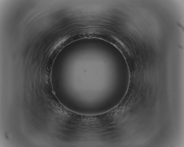 X0000091710823200708311114