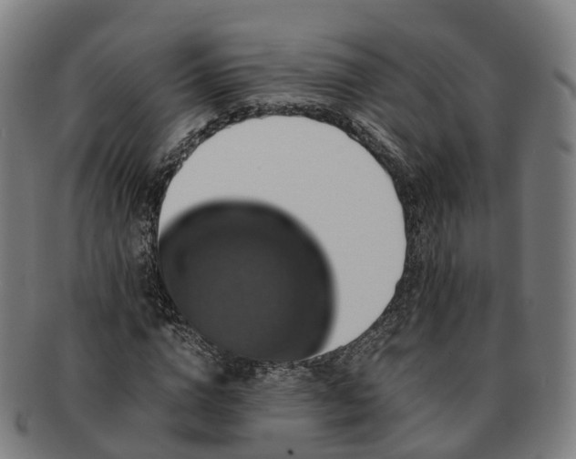 X0000091710824200708311114