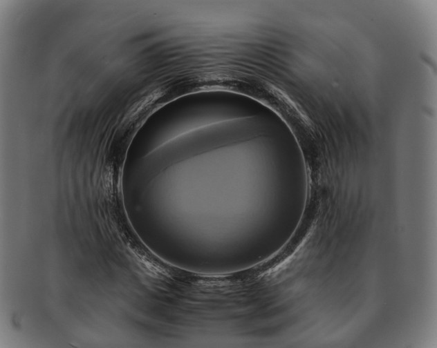 X0000091710825200708311114