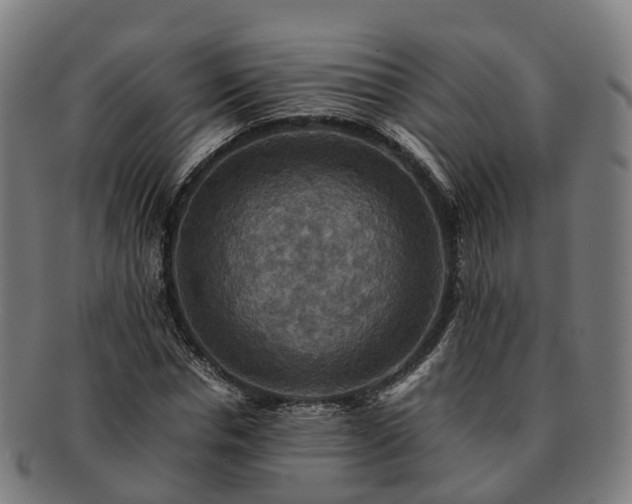 X0000091710826200708311114