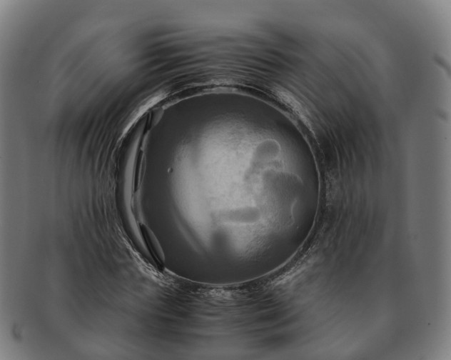 X0000091710827200708311114