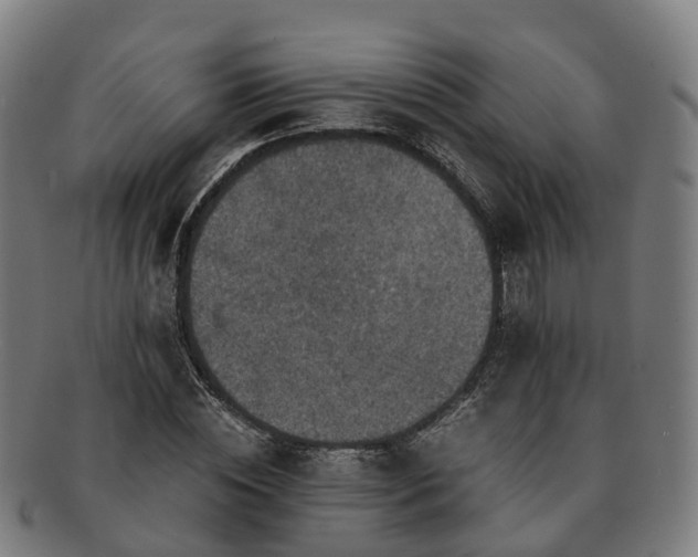 X0000091710828200708311114