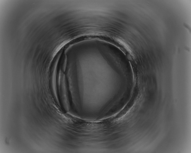 X0000091710829200708311114