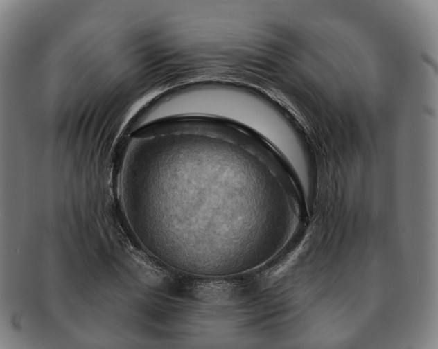 X0000091710830200708311114