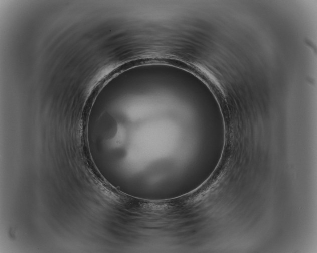 X0000091710831200708311114