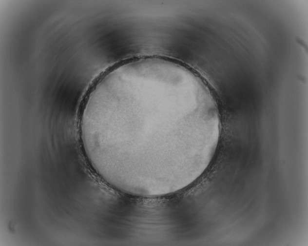 X0000091710832200708311114