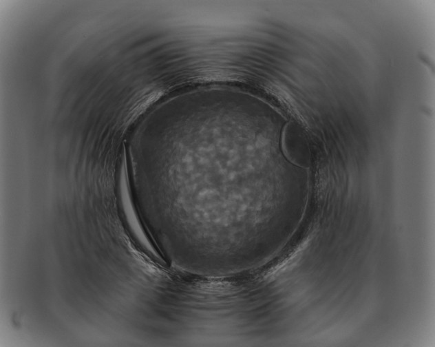 X0000091710833200708311114