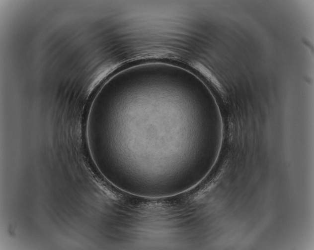 X0000091710834200708311114