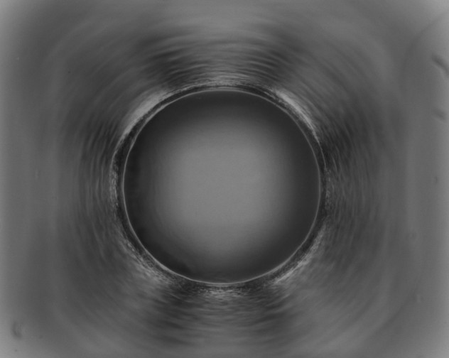 X0000091710835200708311114