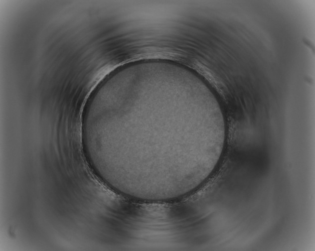 X0000091710836200708311114