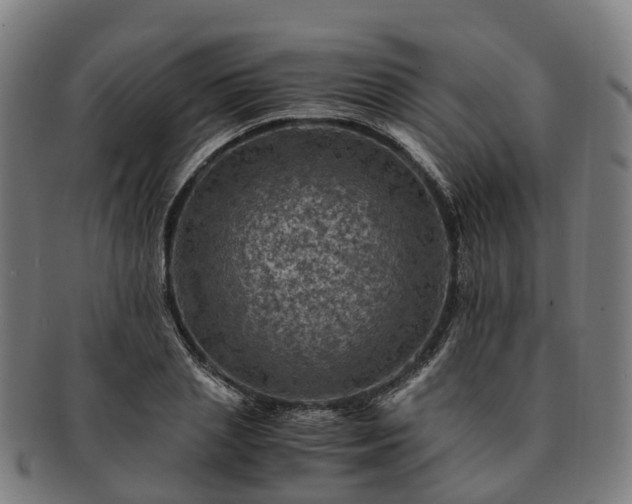 X0000091710837200708311114