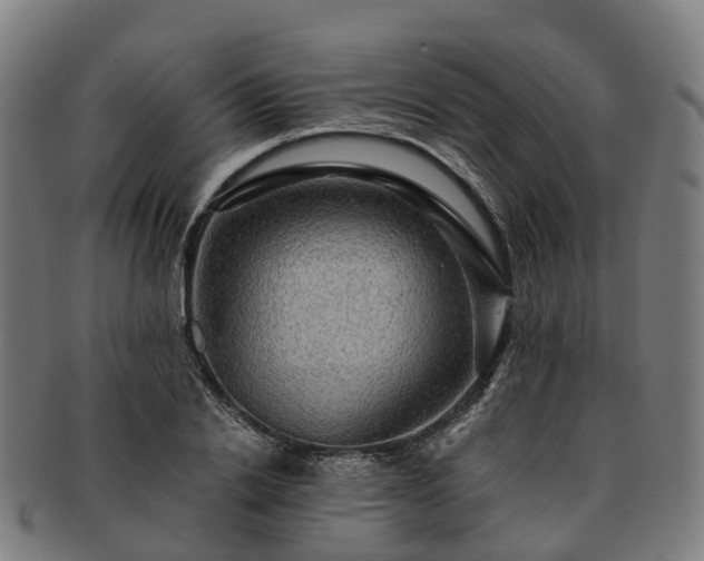 X0000091710838200708311114