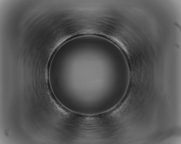 X0000091710839200708311114