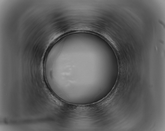 X0000091710840200708311114