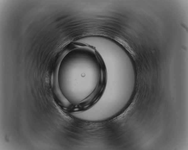 X0000091710841200708311114