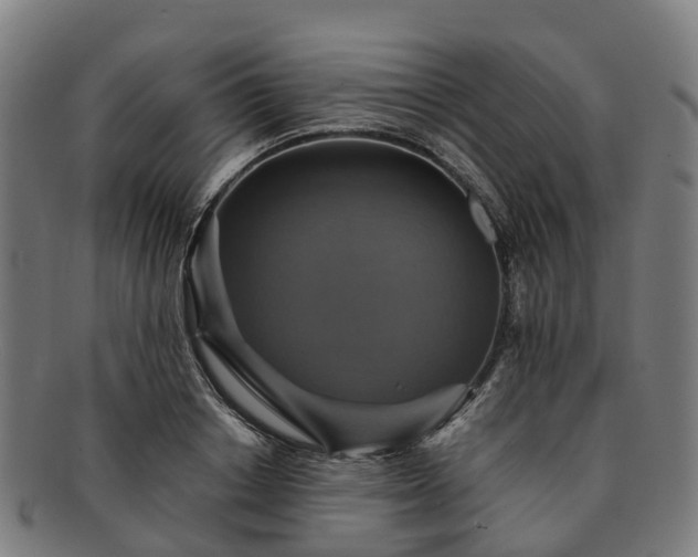 X0000091710842200708311114