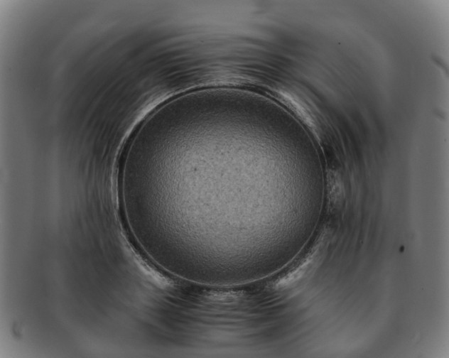 X0000091710843200708311114